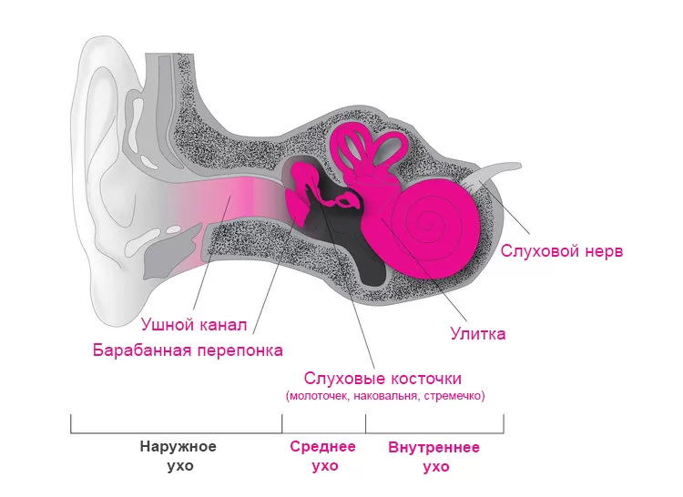 Смешанная тугоухость Смешанная тугоухость